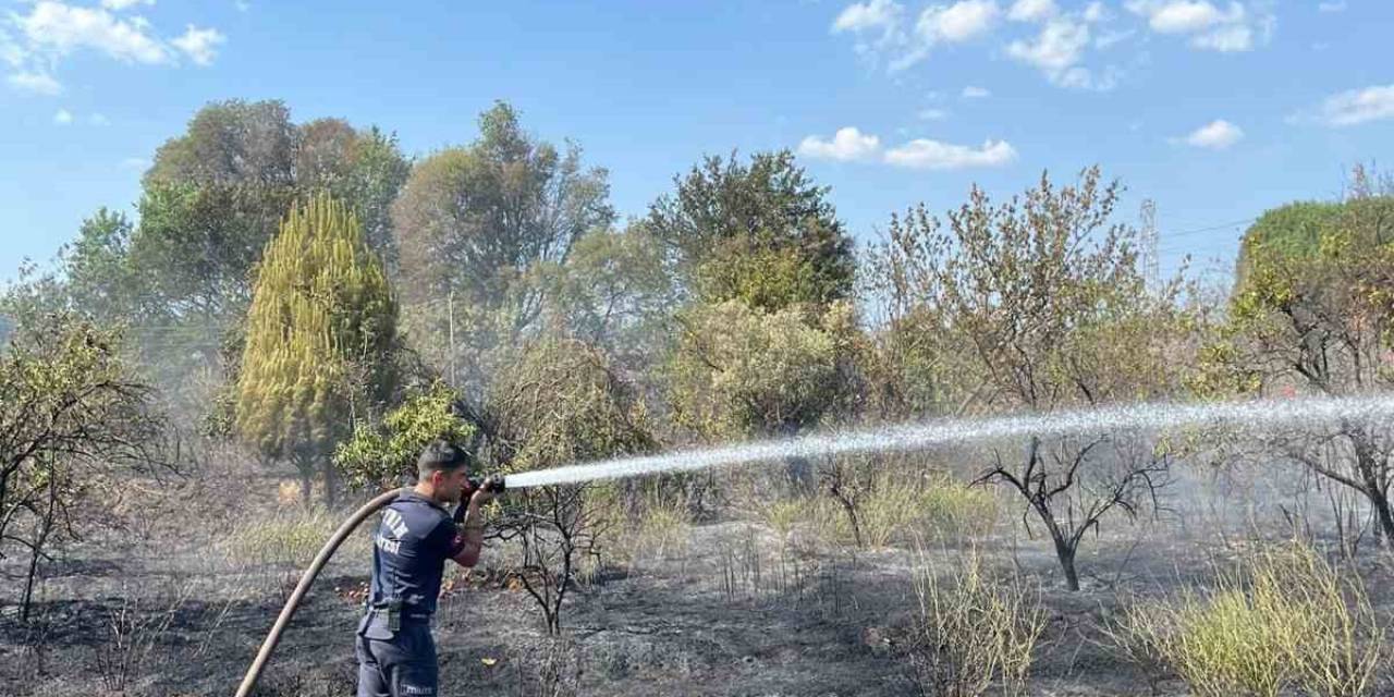 Aydın Büyükşehir Belediyesi İtfaiyesi’nden Hızlı Müdahale