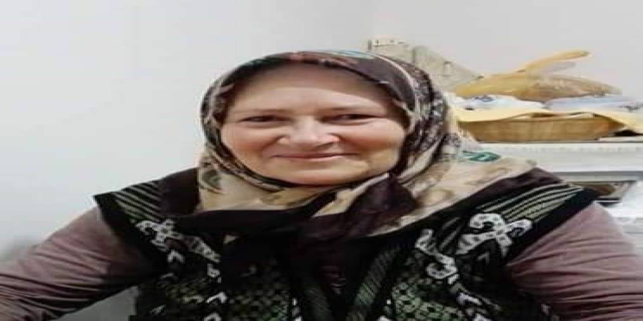 Dut Toplarken Ağaçtan Düşen Kadın Hayatını Kaybetti