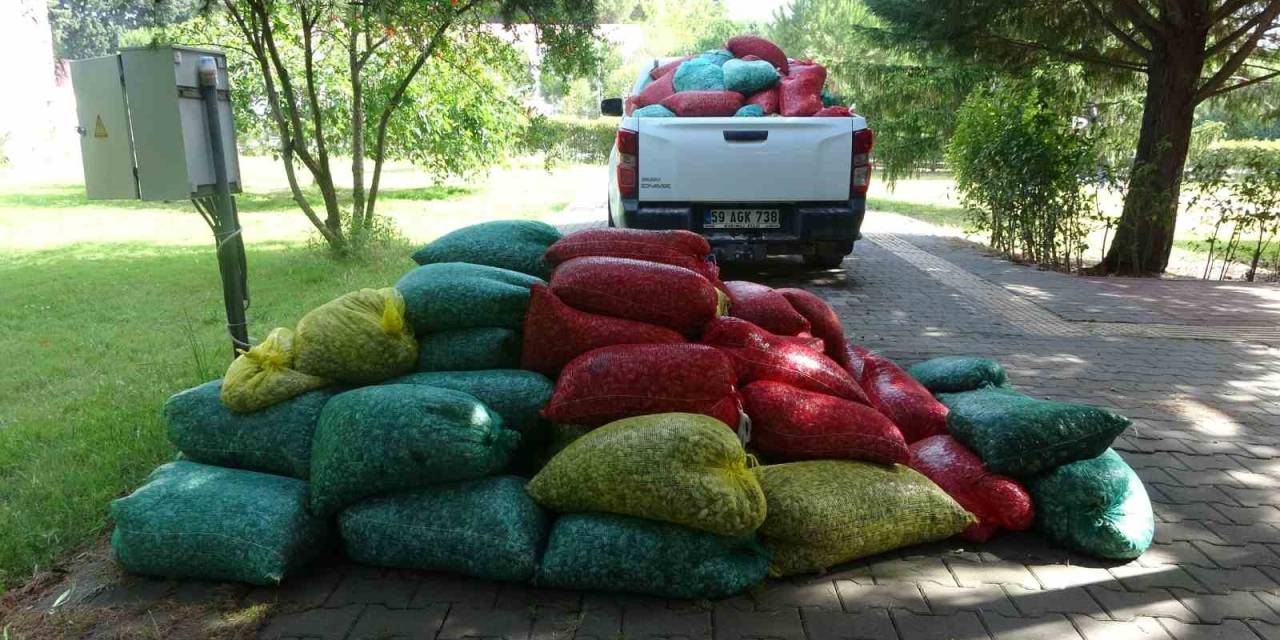 Çanakkale’de 3 Ton Kum Şırlanı Ele Geçirildi