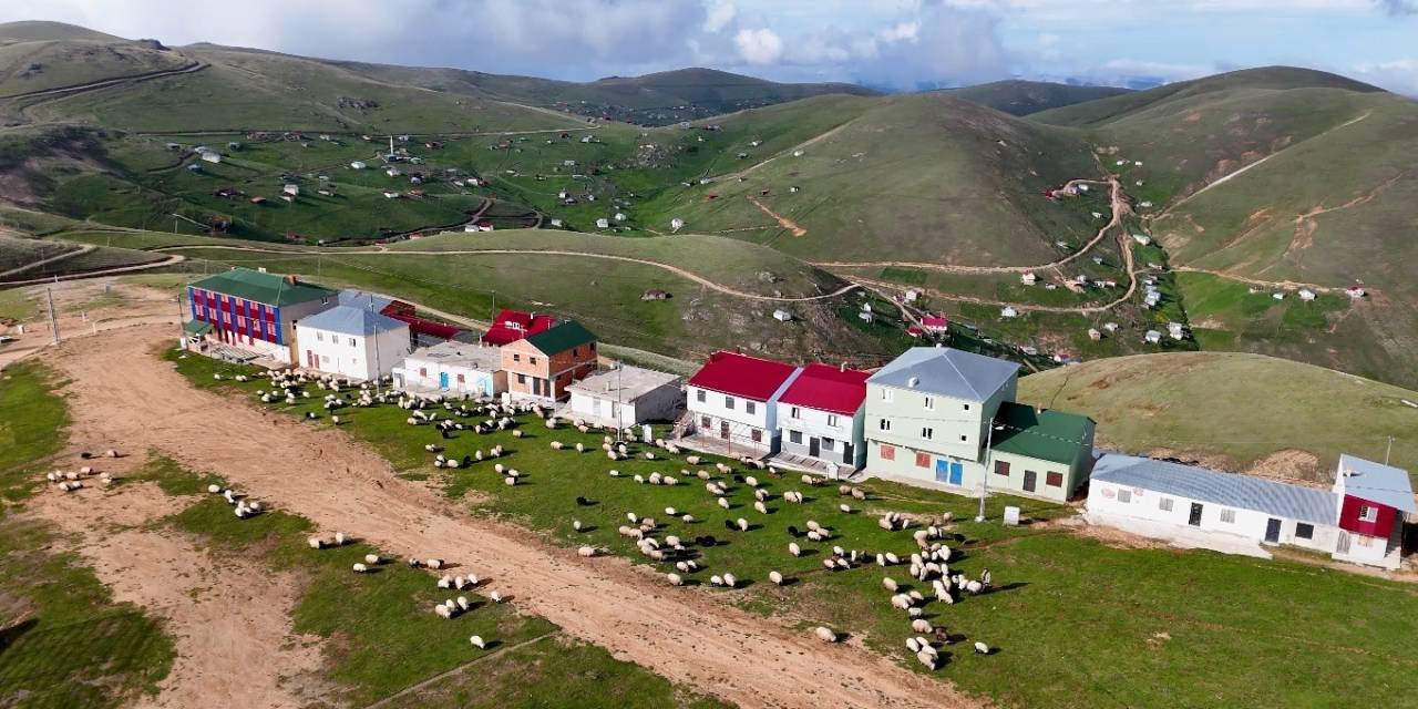 Yayla Evi Değil Yayla Apartmanı