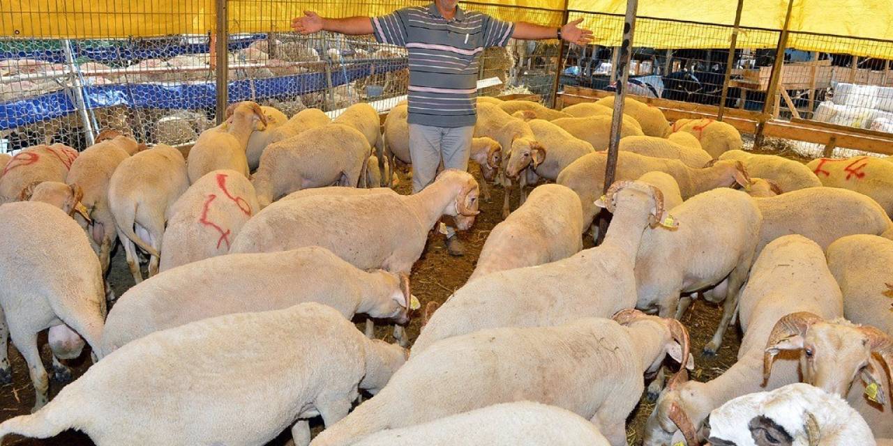 İzmir’de Kurban Bayramı İçin Bağış Kampanyası Başladı