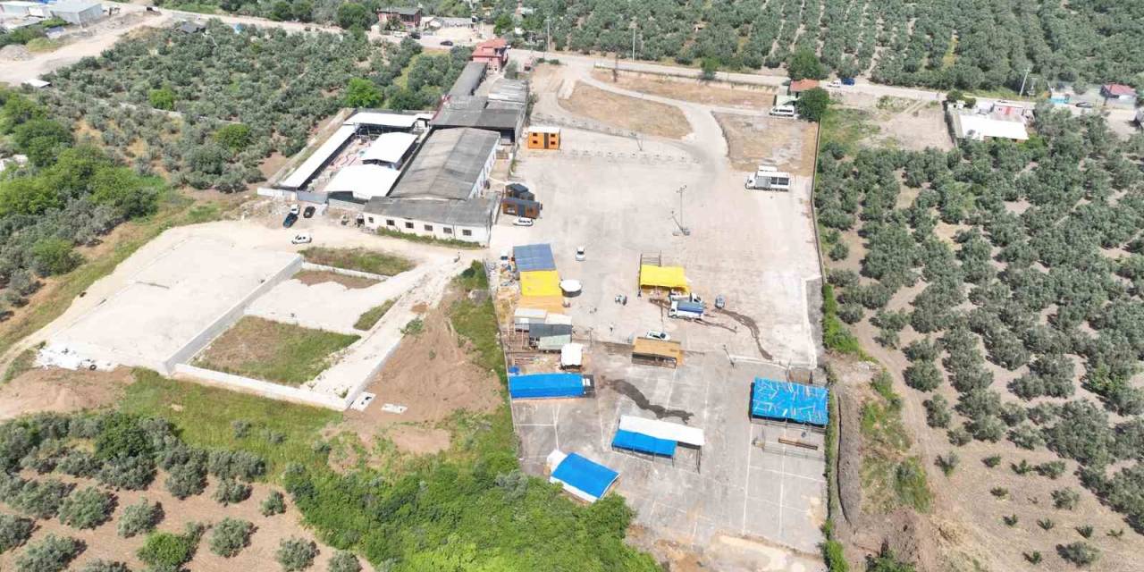 Mudanya Kurban Pazarı Yeni Yerinde