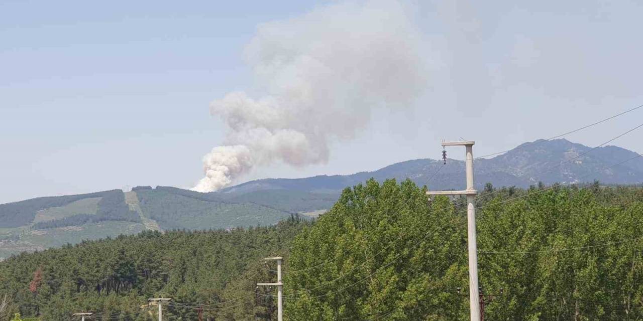 Bursa’da Orman Yangını...uçaklar Ve Helikopterler Sevk Edildi