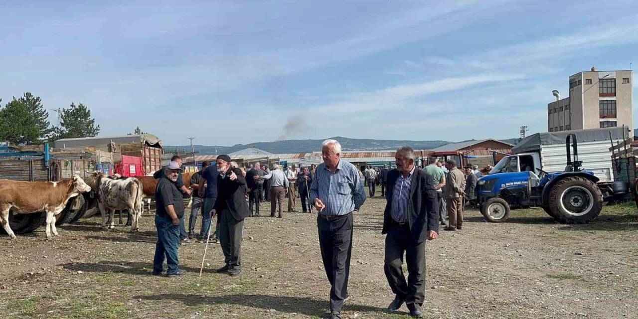 Kastamonu’da Hayvan Pazarında Kurban Bayramı Öncesinde Hareketlilik