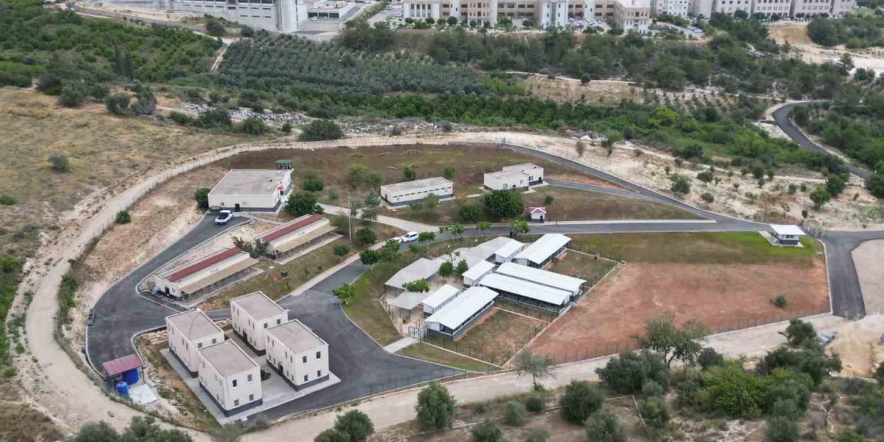 Başkan Özyiğit: "Sokak Hayvanları İçin Ciddi Bir Bütçe Ayırdık"