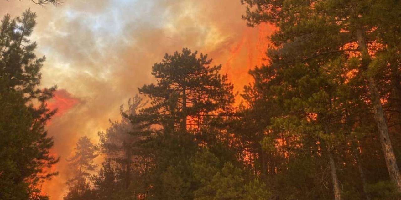 Bursa’daki Orman Yangınına Müdahale Artıyor