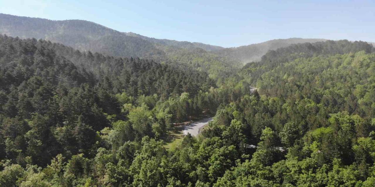 Balıkesir’de Ormanlık Alanlara Giriş Ve Çıkışlar Yasaklandı