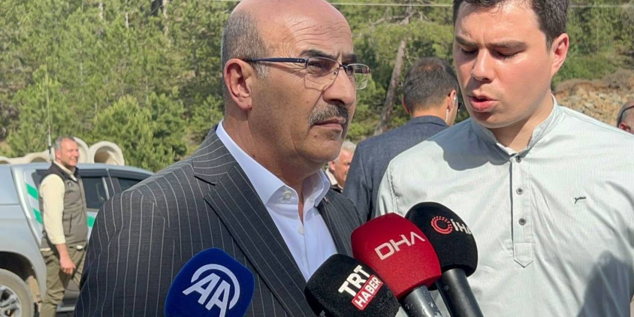 Bursa Valisi Açıkladı: 100 Hektar Orman Alanı Yandı