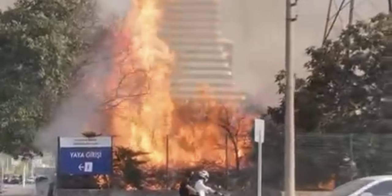 Bursa’da Avm Bahçesinde Yangın: Ağaçlık Alan Alev Alev Yandı