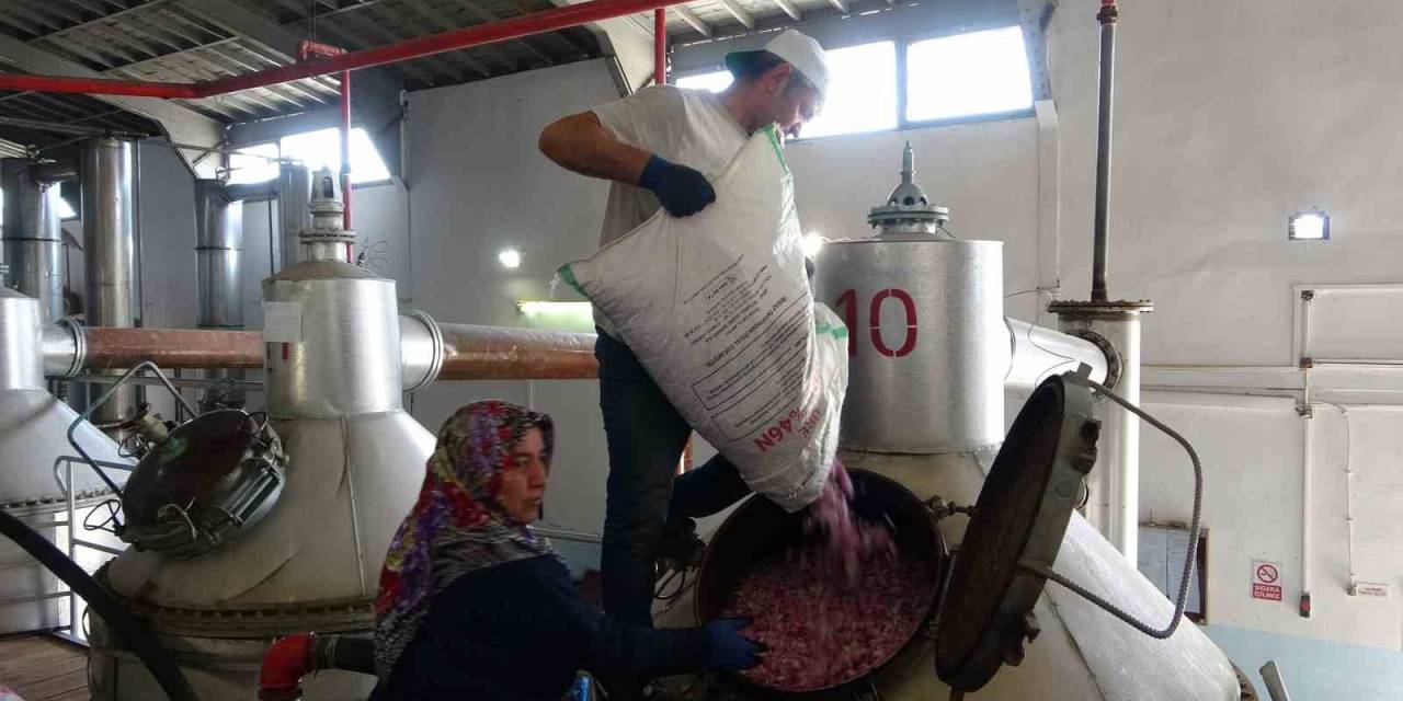 4 Tondan Sadece 1 Litre Çıkıyor, Litresi 400 Bin Tl’yi Buluyor