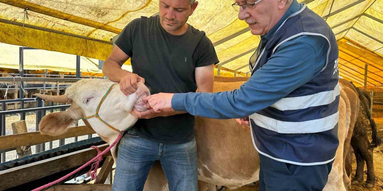 İhlas Vakfı Kurban Bayramı’nda Faaliyetlerini Sürdürüyor