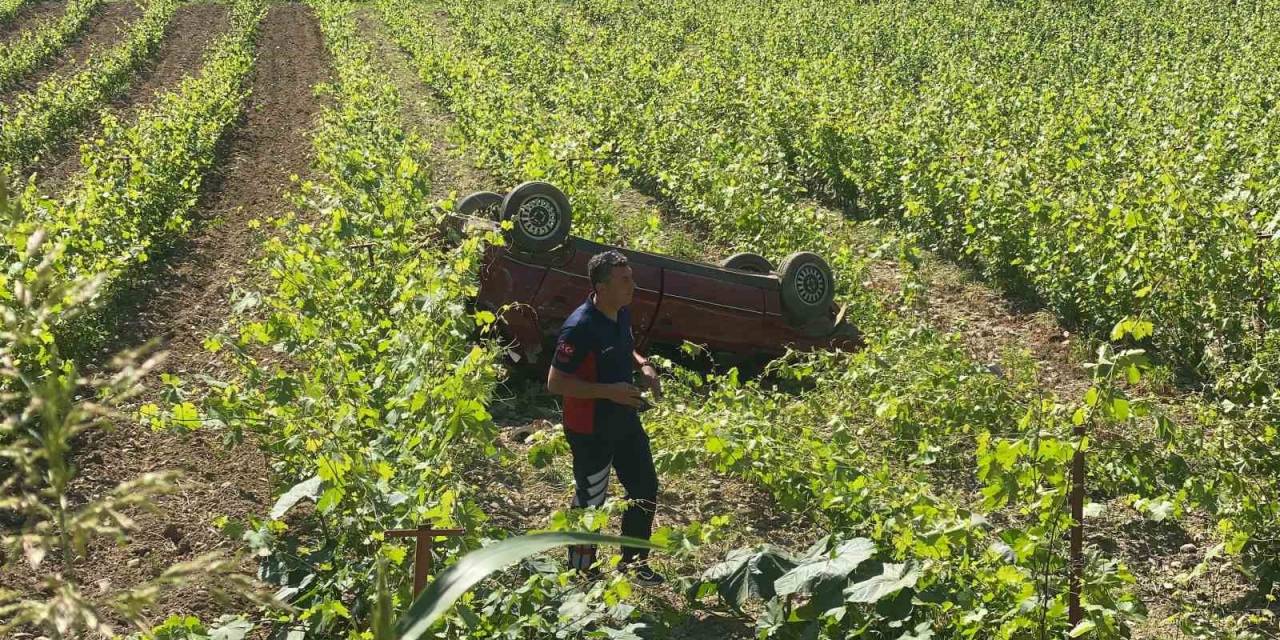 Direksiyon Hakimiyetini Kaybetti: Üzüm Bağına Devrildi
