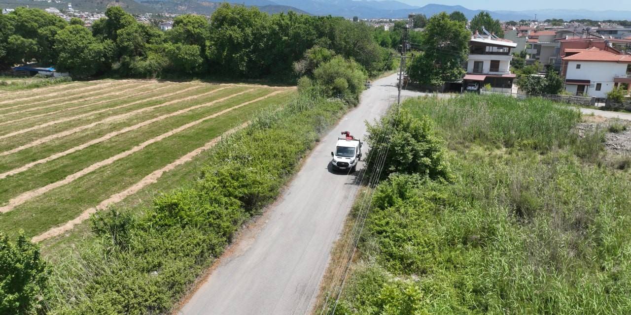 Sivrisinek, Unutulan Bir Bardak Suda Bile Üreyebiliyor