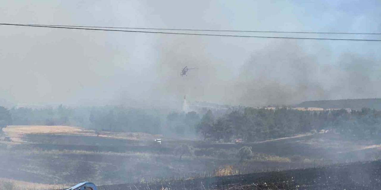 Çanakkale’de 5 Dönüm Orman, 11 Dönüm Tarım Arazisi Zarar Gördü