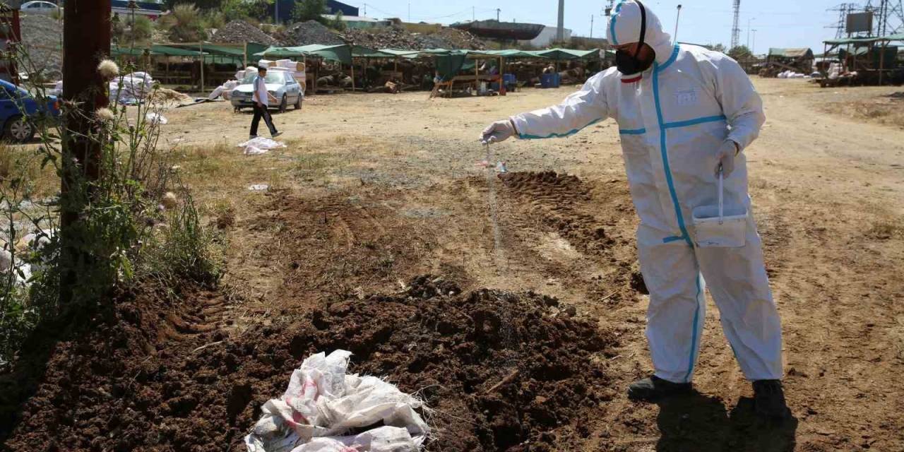 Eyüpsultan’da Kurban Satış Alanları İlaçlanıyor