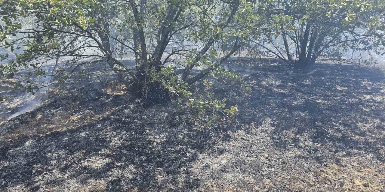 Güney’de Orman Yangını