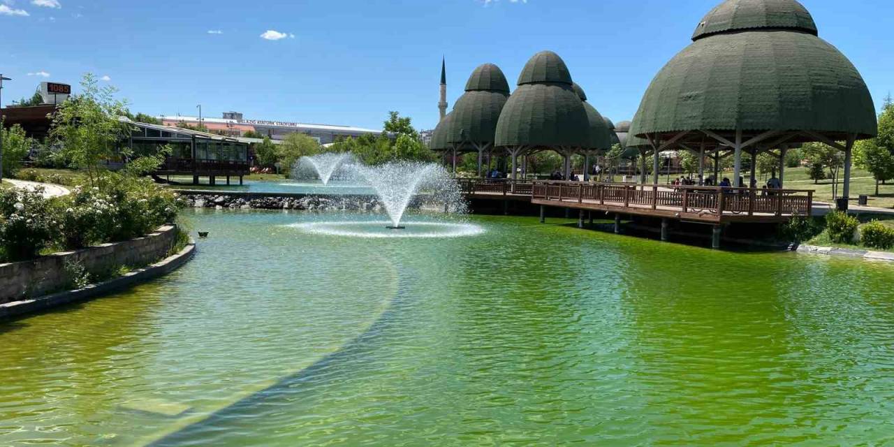 Süs Havuzuna Düşen Çocuk Hayatını Kaybetti