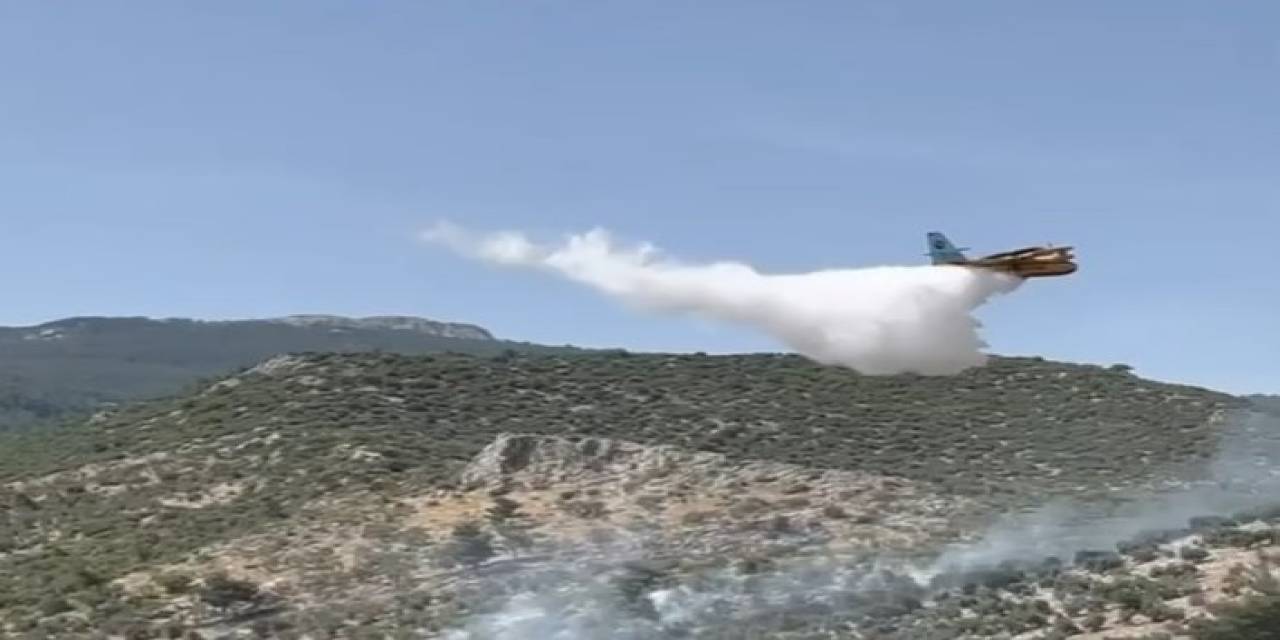 Söke’de Zeytinlik Alandaki Yangın Söndürüldü