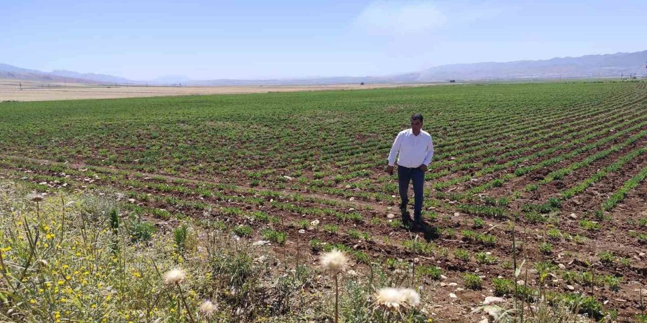 Silopi’ye Bin Kişiyi İstihdam Edecek Sera Organize Tarım Bölgesi Kuruluyor