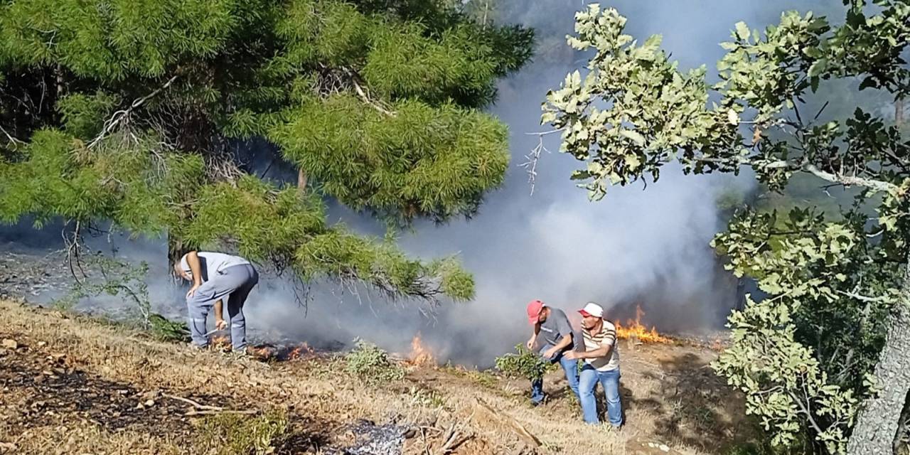 Denizli’de Orman Yangını