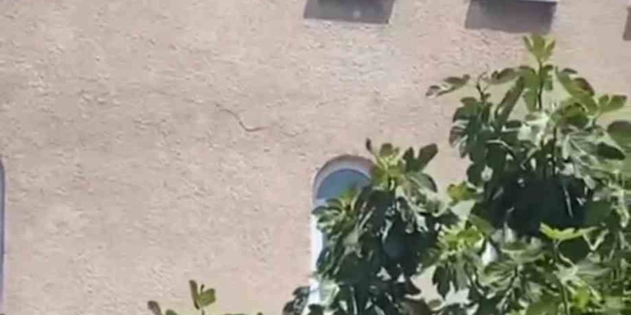 Ümraniye’de Yoldan Geçenlere Küfür Eden Yarı Çıplak Şahıs Kamerada