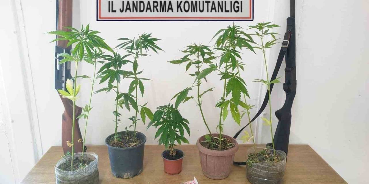 Tekirdağ’da Uyuşturucu Ve Silah Operasyonunda 10 Gözaltı