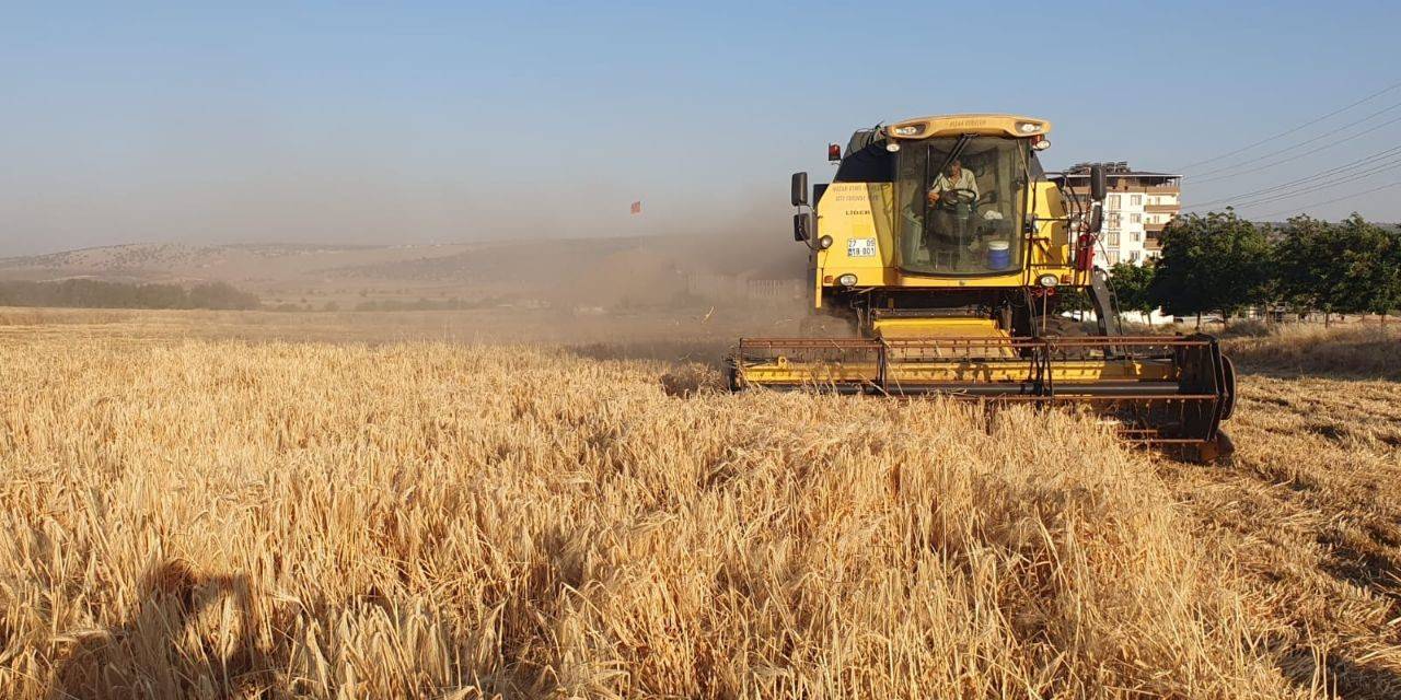 Gaziantep’te Arpa Ve Buğday Hasadı Başladı