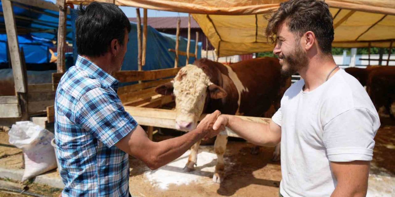 Kurban Pazarlarına ‘Yurt Dışı’ Etkisi