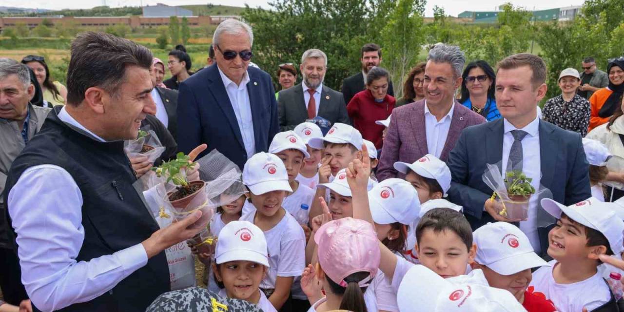 Fide Dikim Programında Tüm Engelleri Kaldırdı