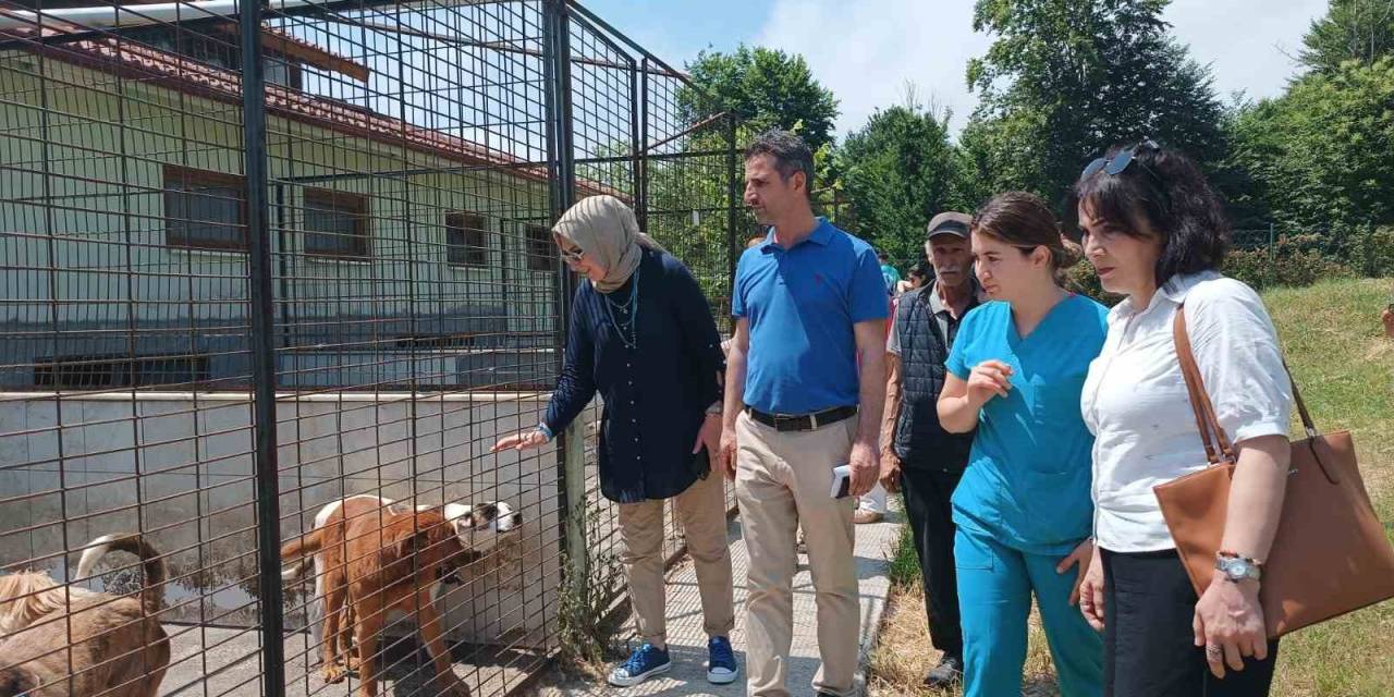 Chp Heyetinden Hayvan Konukevine Tam Not