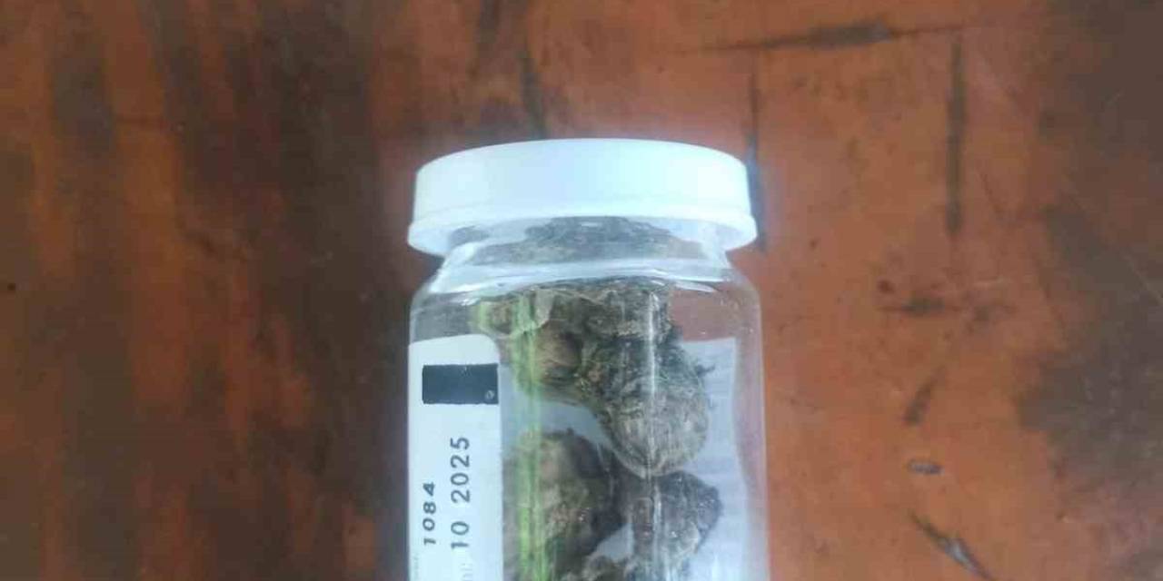 Aydın’da Jandarma Ekipleri Uyuşturucuya Geçit Vermiyor