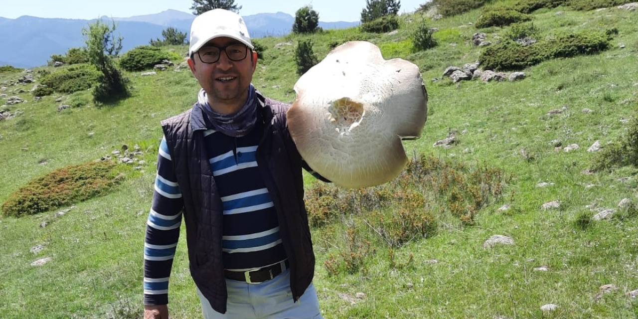 Tepsi Büyüklüğündeki İçi Kızıl Mantar Görenleri Şaşırttı