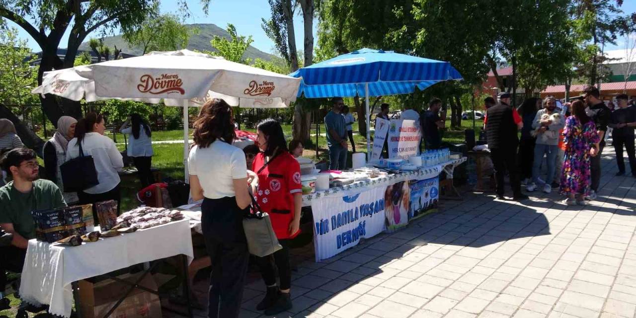 Hayvan Severlerden Sokak Hayvanları Yararına Yardım Kampanyası