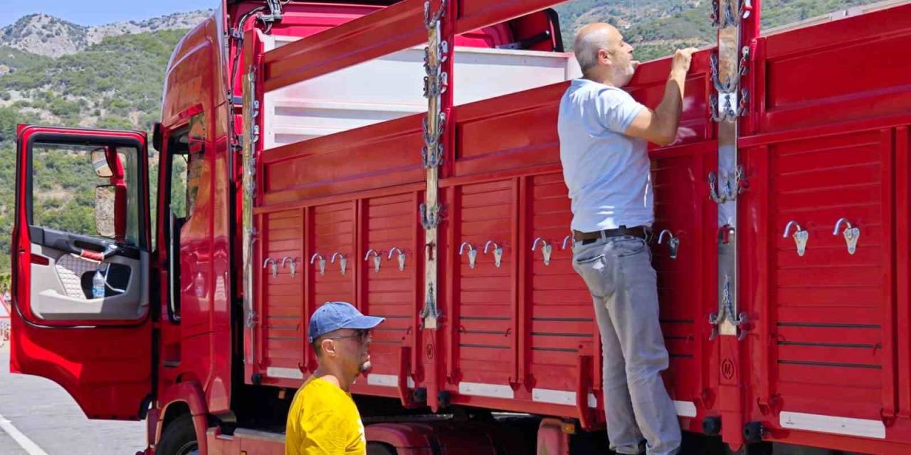 Gazipaşa’da Kurbanlıklar Denetlendi