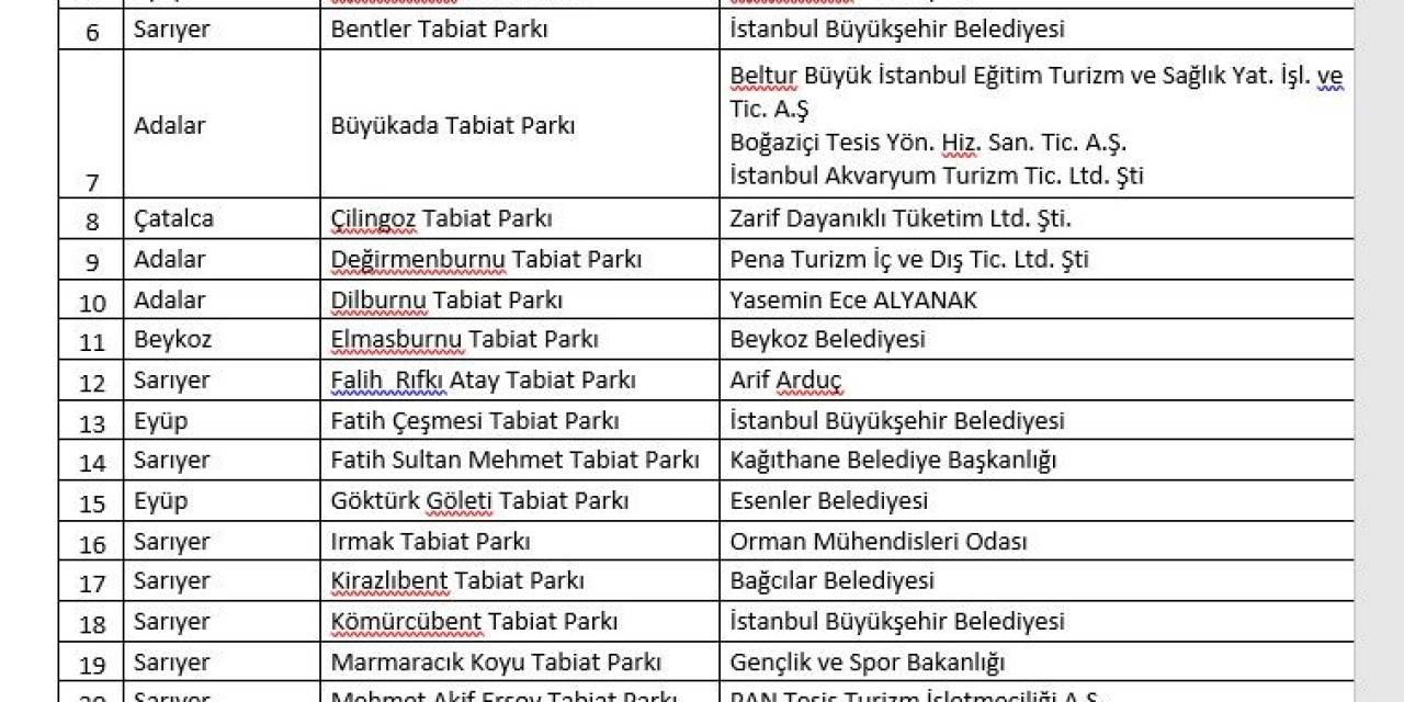 İstanbul Valiliği Orman Yangınlarına Karşı Alınan Önlemleri Duyurdu