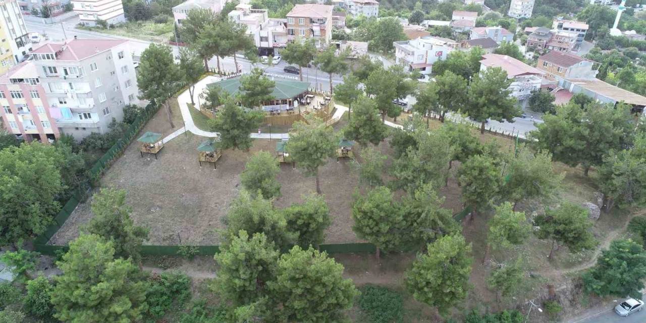 Kale Kafe, Yaşlıların Kullanımı İçin Dönüştürülecek