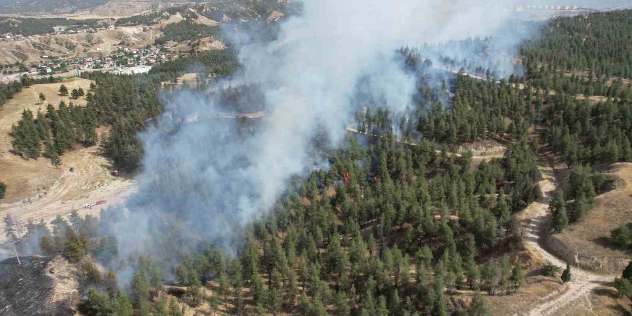 Denizli’de Yerleşim Yerlerine Yakın Bölgede Orman Yangını Çıktı