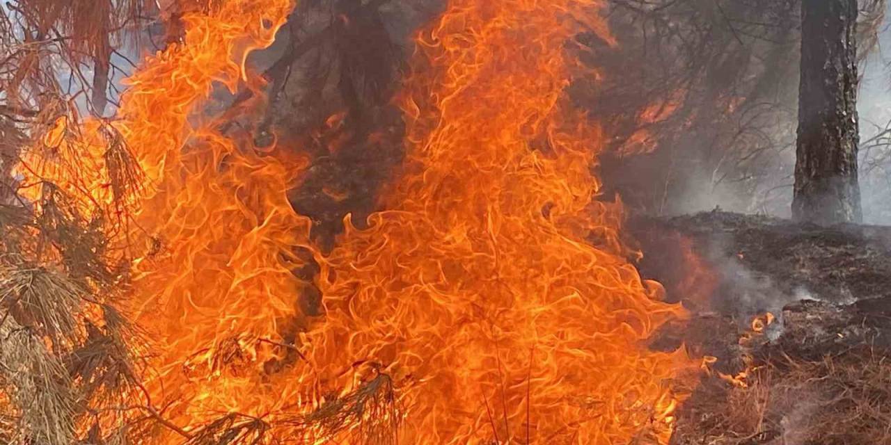 Yerleşim Alanına Doğru İlerleyen Yangın İçin Hava Desteği İstendi