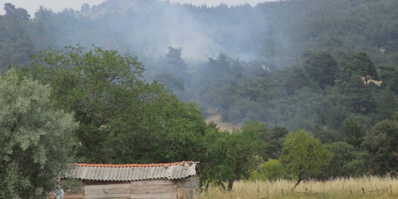 Bayramiç’te Yıldırım Düşmesi Sonucu Çıkan Orman Yangını Kontrol Altına Alındı