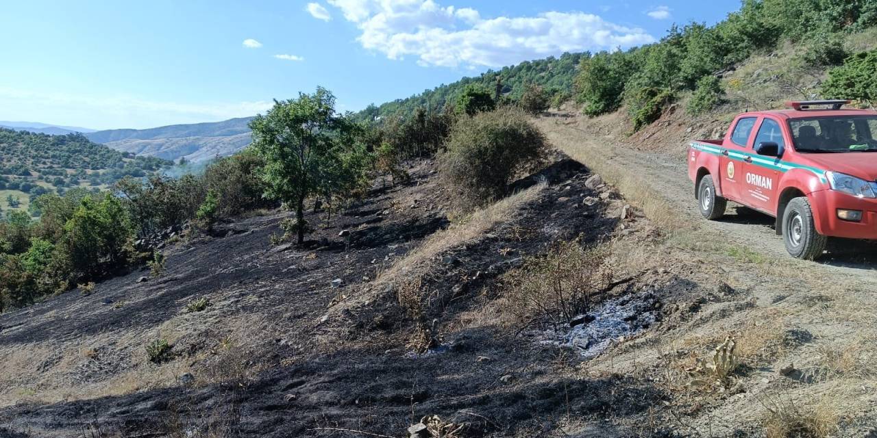 Elazığ’da Korkutan Yangın