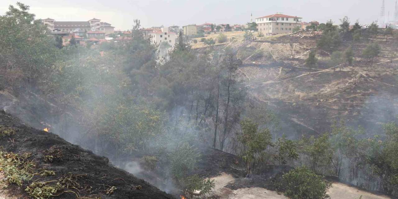 Denizli’deki Orman Yangınına  Havadan Ve Karadan Müdahale Ediliyor