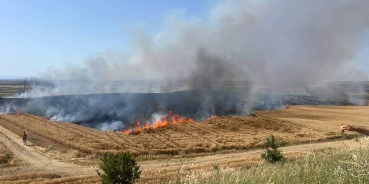 İpsala’da Bir Gün Arayla 130 Dönüm Buğday İle 250 Ot Balyası Yandı