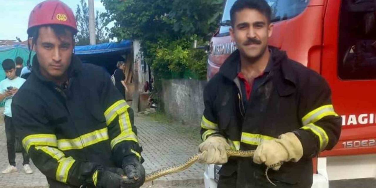 İtfaiye Ekiplerinin Yılan Mesaisi