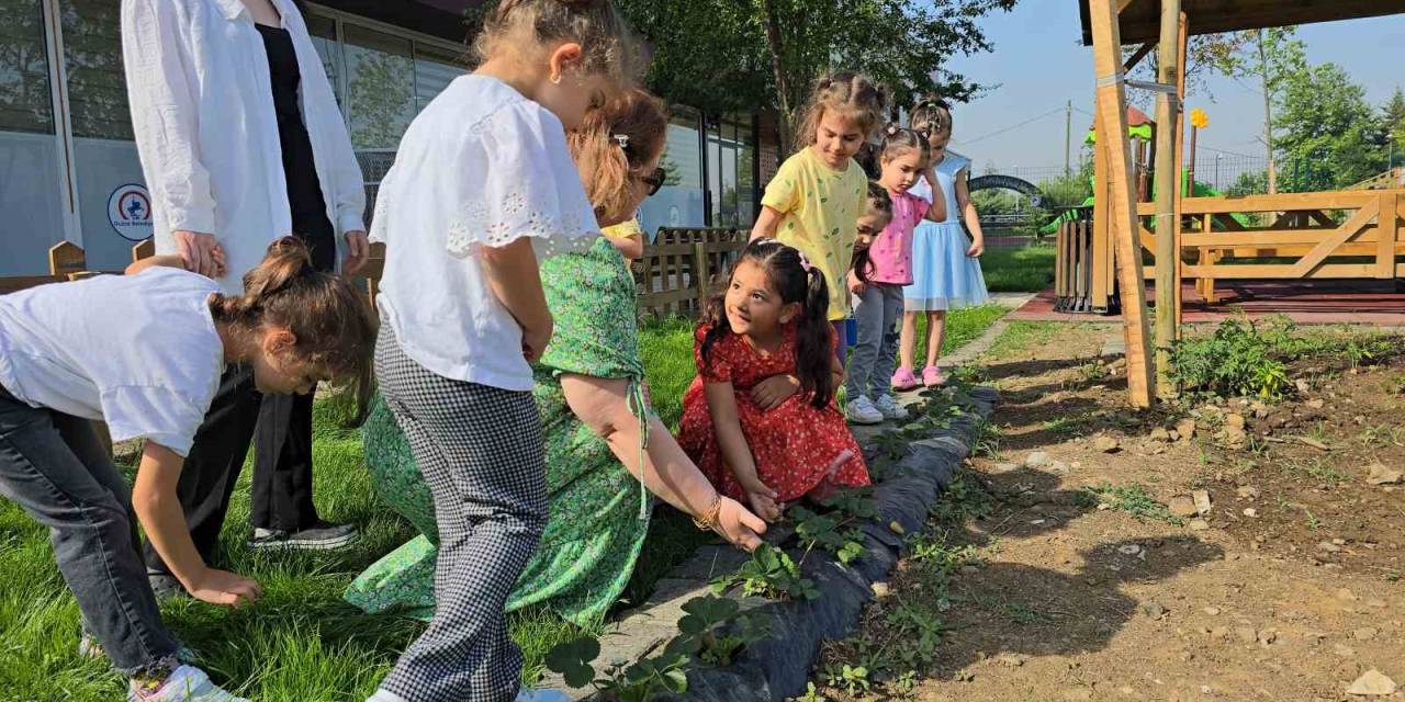 Öğrenciler Doğayı Ve Sebzeleri Tanıyor