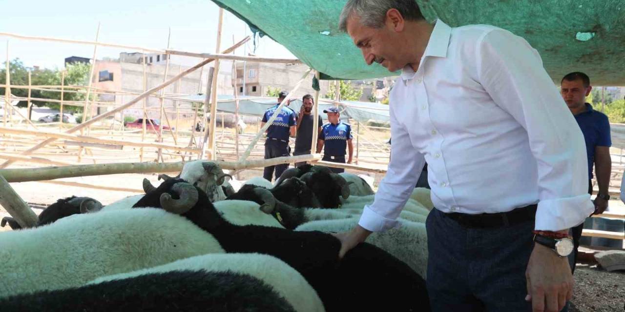 Tahmazoğlu’ndan Kurban Bayramı’nda Vatandaşın Yüzünü Güldürecek Hamle