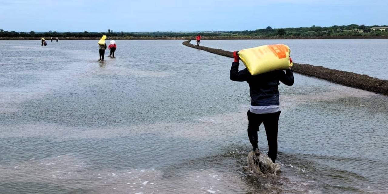 Pehlivanköy’de Çeltik Tohumları Su Ve Toprakla Buluştu