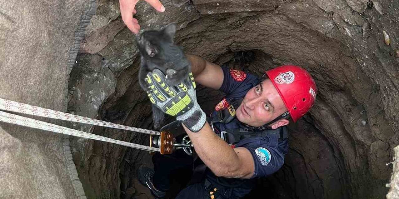 Kuyuya Düşen Yavru Kedi Kurtarıldı