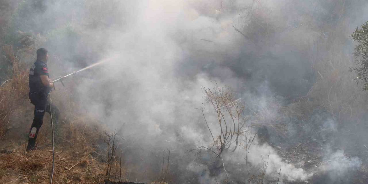İtfaiyenin Hızlı Müdahalesi Alevlerin Antik Kente Ulaşmasını Önledi