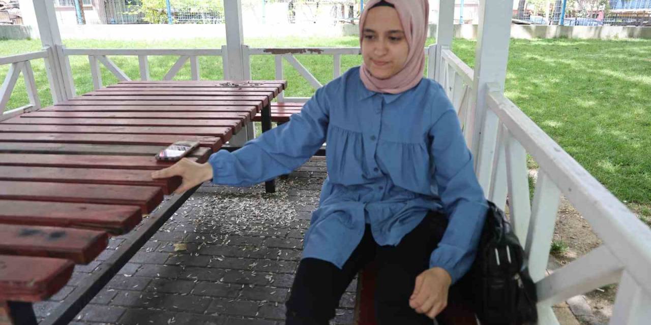 Parktan Geçen Genç Kızı Köpek Isırdı