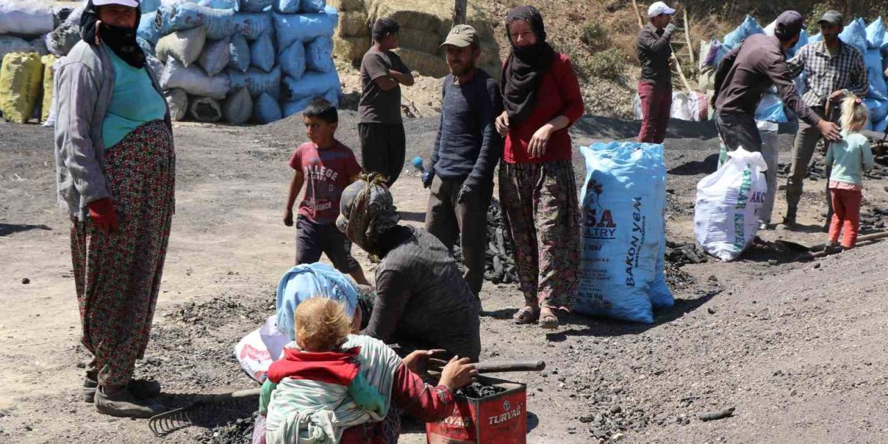 Mangal Kömürü Üretmek İçin Gece Gündüz Mesai Yapıyorlar